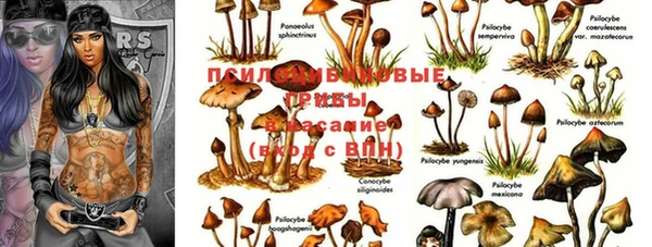 бошки Абинск
