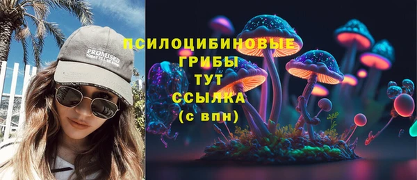 шишки Алзамай