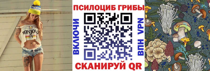 Псилоцибиновые грибы Psilocybine cubensis  Одинцово 