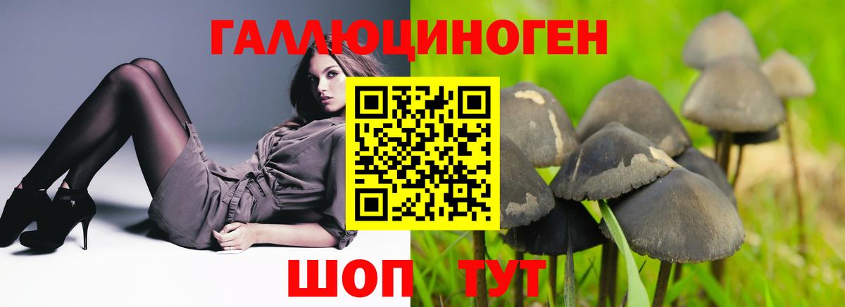 Одинцово  Псилоцибиновые грибы Cubensis  где купить   Вход с VPN 